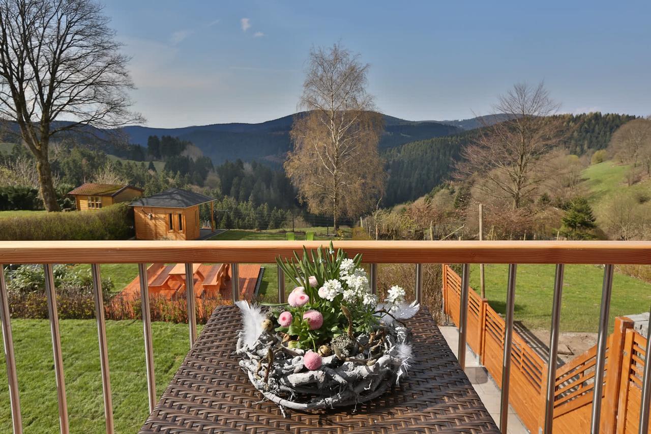 Landhaeuser Bergwiese - Ferienhaus Hoehenblick Санкт-Андреасберг Экстерьер фото